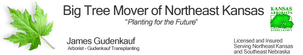Big Tree Mover of Northeast Kansas " Planting for the Future ", James Gudenkauf, Kansas Arborist, Licensed and Insured